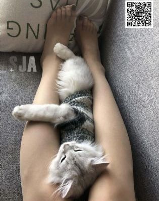 黄色哪里看_BD韩语神马影院手机在线