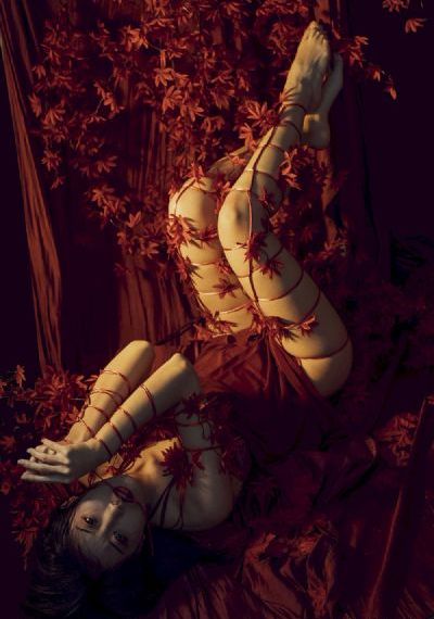 樱花庄的宠物女孩动漫在线观看_在线播放高清