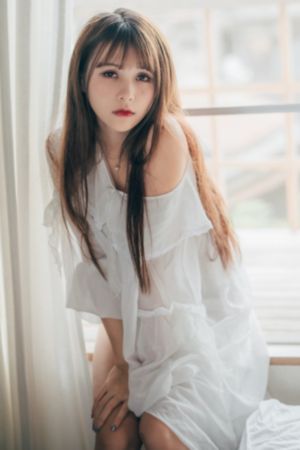 谎言使用法则_DVD高清完整版播放